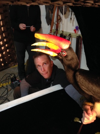 A behind-the-scenes look at a bird posing with his trainer for photographer Joel Sartore's Photo Ark project. Photo Courtesy of Evan Sgouris